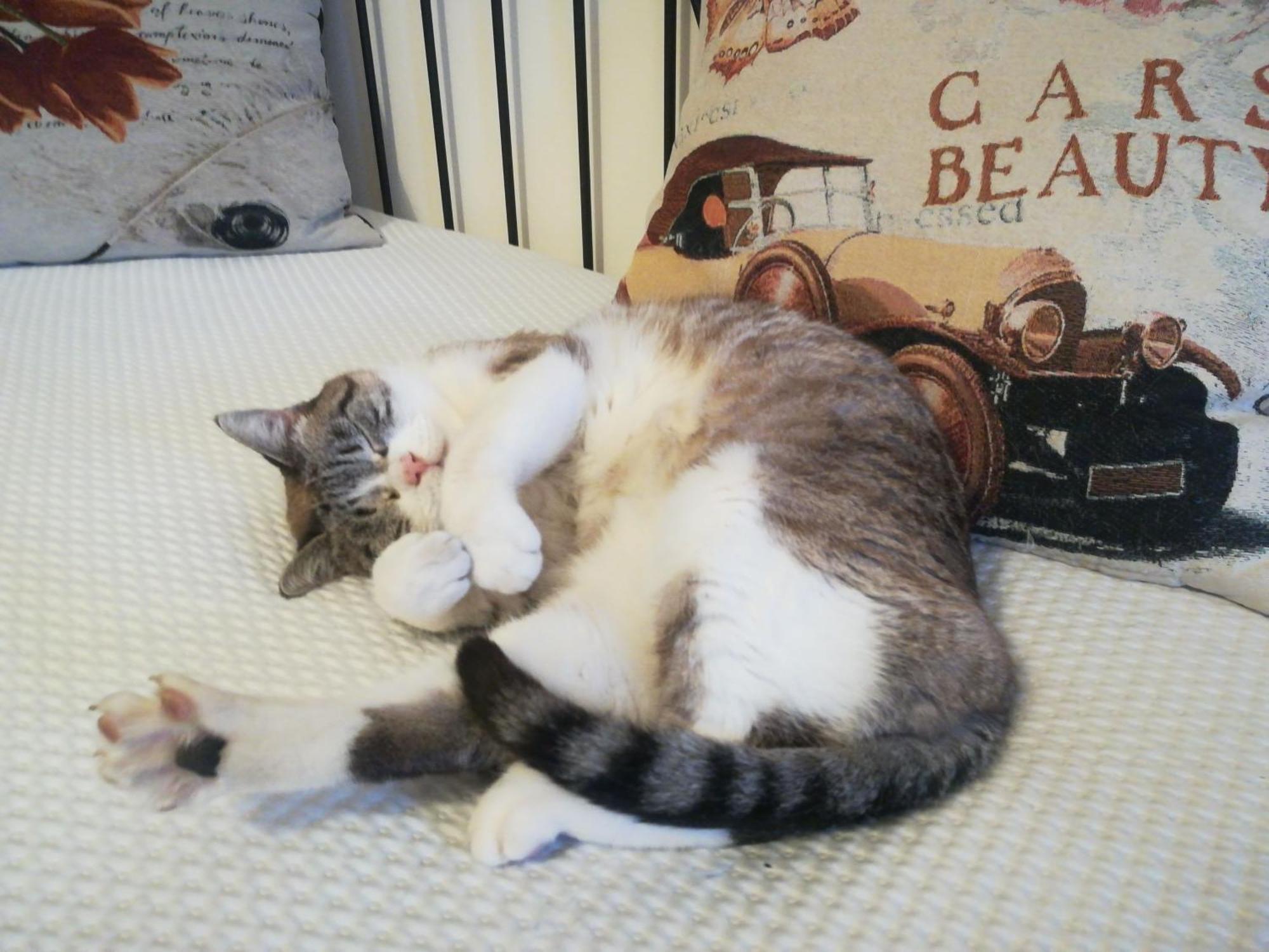 Il Colibri Bed&Breakfast Leno エクステリア 写真